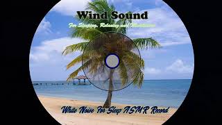 Wind Sound in forest Relaxing Sound, Sleep Sound, Wind sound