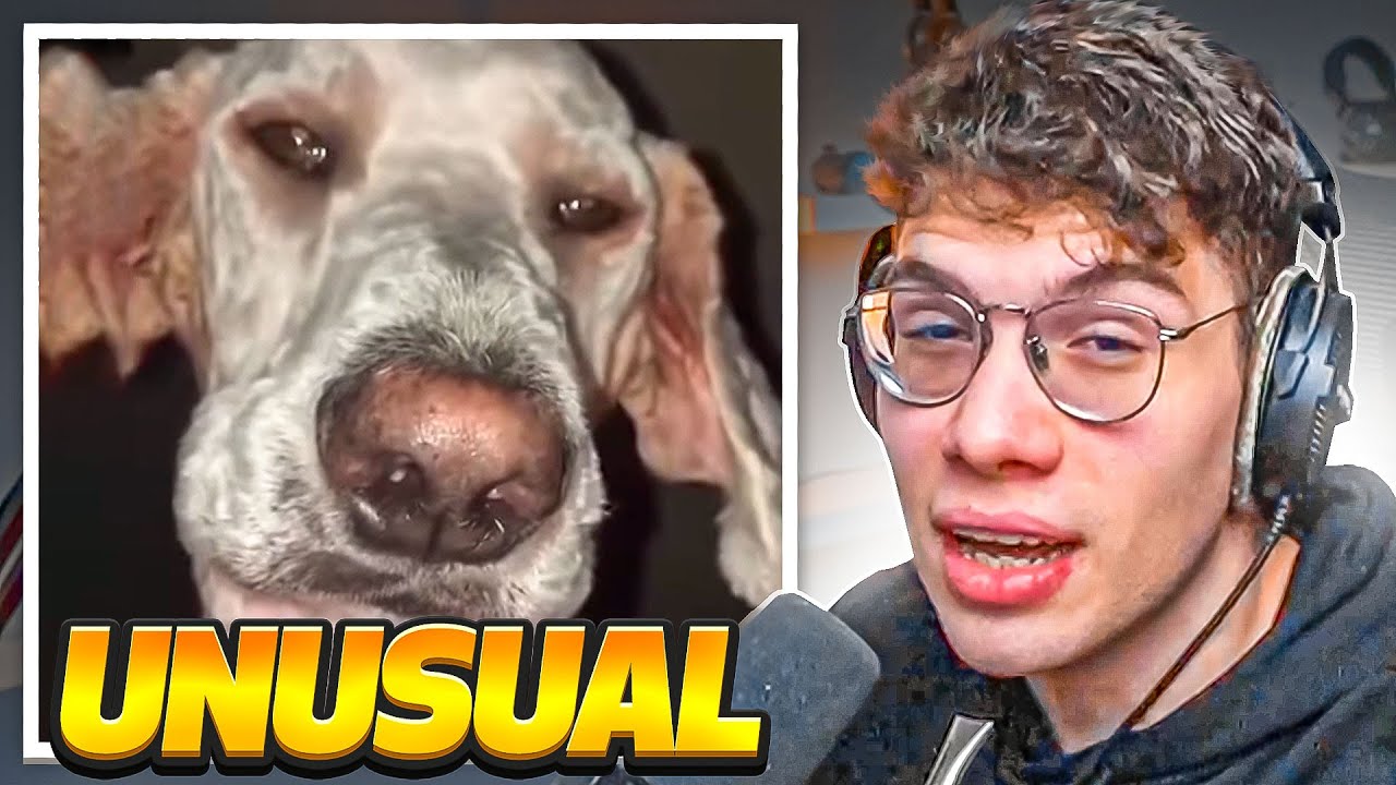 unushual memes v92682,0