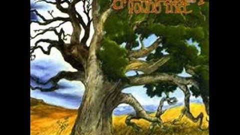 Groundation - Confusing Situation