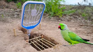 Easy Parrot Trap Using Mosquitoes Tools & Wood_ How To Make Parrot Trap #parrottrap by Homefising 11,395 views 11 months ago 10 minutes, 28 seconds