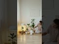 how airflow affects indoor plants