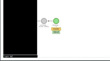 Git のブランチとチェックアウトの意味を Visualizing Git で確認する