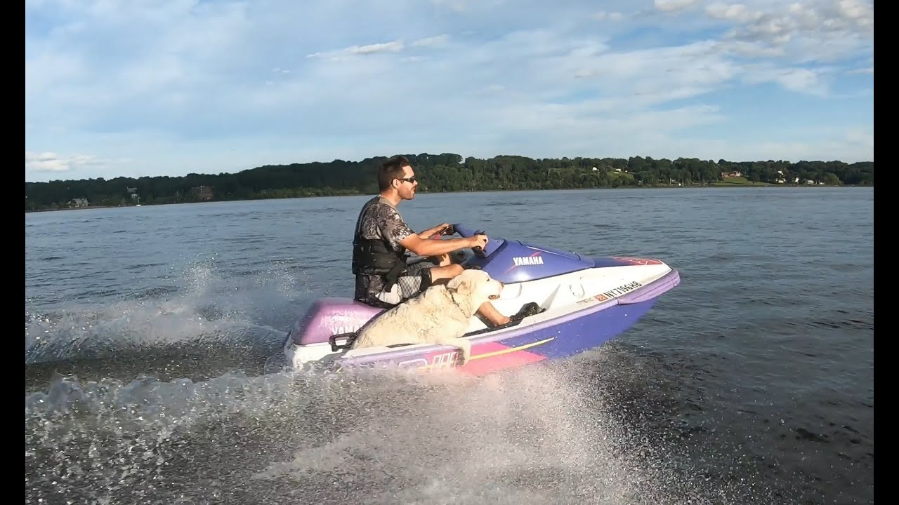 Jetski riding YouTube