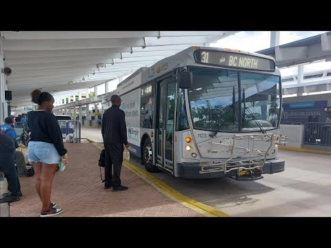 趣味 TRANSIT hqdefault.jpg