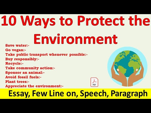 10 Ways To Protect The Environment For Kids - Infoupdate.org