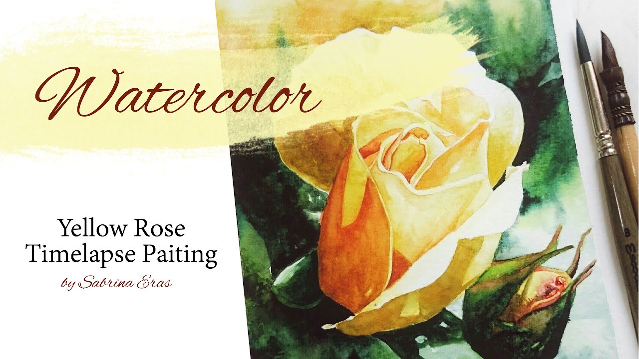 Yellow Rose Timelapse watercolor painting YouTube