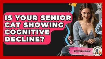 Is Your Senior Cat Showing Cognitive Decline? - Happy Cat Handbook