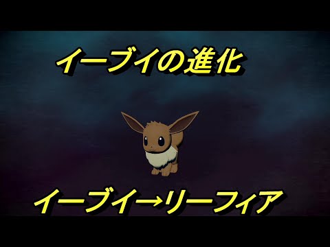 【ポケモン　アルセウス】イーブイの進化　イーブイ→リーフィア　ブイズイチの可愛さだと思っています（私見）