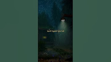 القران الكريم 365 #اكسبلور #اكسبلور_explore #القرآن_الكريم #تيك_توك #المصحف #الرحمن #لايك #explore