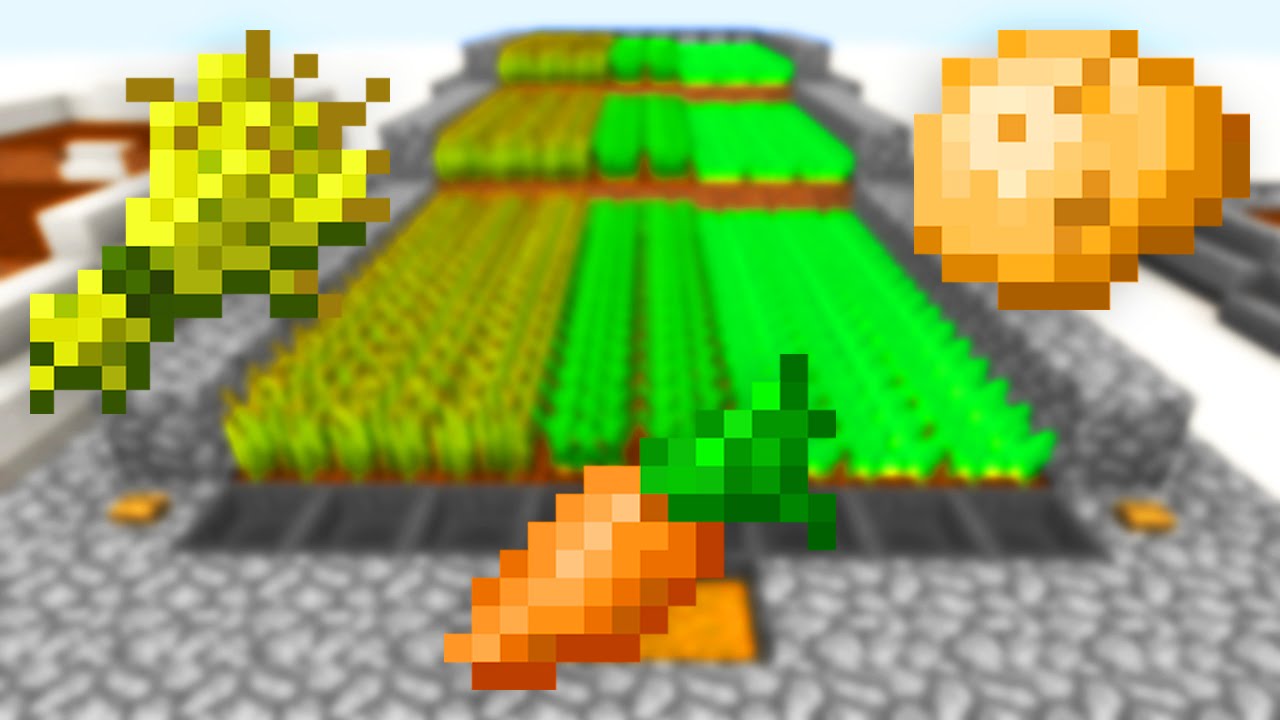 Semi Automatic Wheat Carrot Potato Farm Youtube