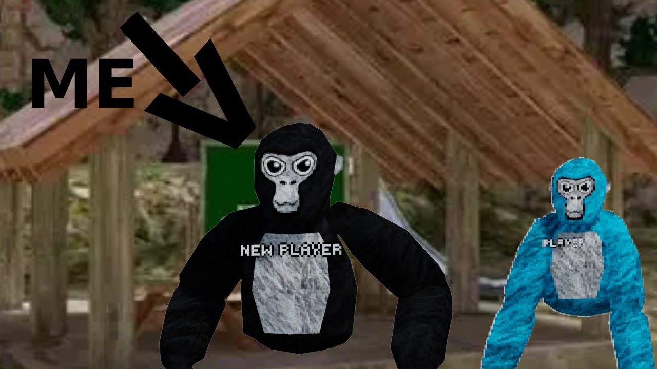 🐵🐵Pretending to be a new gorilla tag player and surprising a kid who wanted to help.🐵🐵