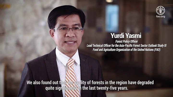 APFSOS III At a Glance: Yurdi Yasmi on the forest trends revealed by the Outlook Study - DayDayNews