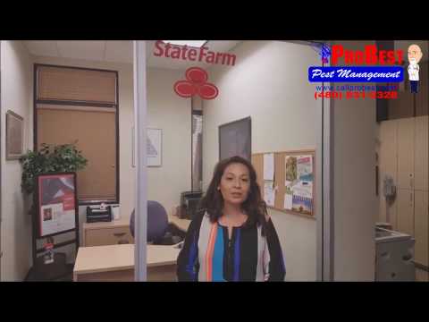 commercial-pest-control-reviews-/-testimonials-in-gilbert,-az-(-exterminators-)