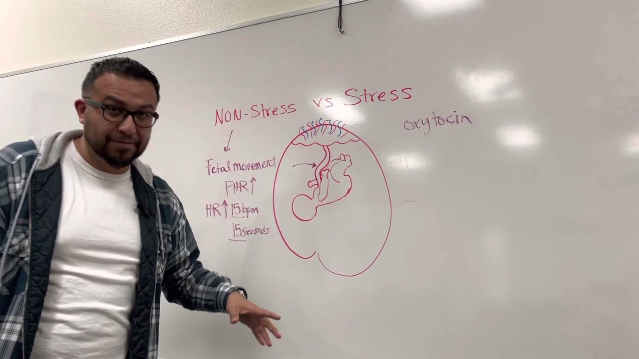 Learn NCLEX Now: Stress vs Non-Stress Test