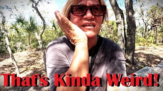 AMAZING RV TRAVEL STOP! Natural Salt Springs | Werner-Boyce State Park - Florida by Panda Monium 7,207 views 2 months ago 27 minutes