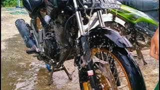 story' wa Tiger revo