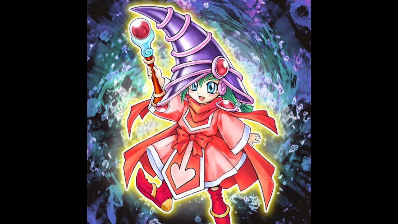 遊戯王 カードエクスクルーダー ノーパラ 遊戯王】 カードエクスクルー