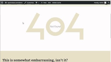 How to Customize Your 404 Error Page in WordPress?