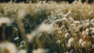 Kad Me Zaboravis 2026