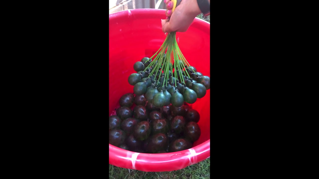 Filling up Buncho Grenade Water Balloons without tying YouTube