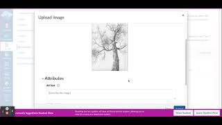 Famous How to Reply to a Discussion Post in Canvas and Embed and Image. Wealth