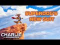 Charlie the Wonderdog's Super Suit Fails 😄