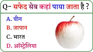 Gk Questions || Interesting Gk || Gk In Hindi || General Knowledge || Gk Video || Smart GK Quiz