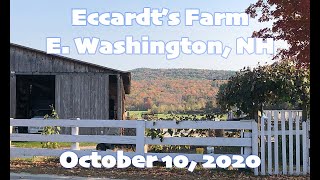 Eccardt's Farm - East Washington, NH - Free Stuff to Do