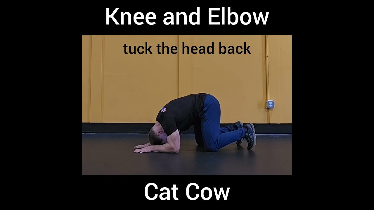 Knee and Elbow Cat Cow