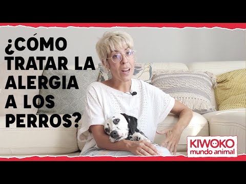 Video: Alergias A Los Ojos De Perro