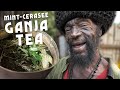 10 Foot HERB TREE TEA! With Mint and Cerasee