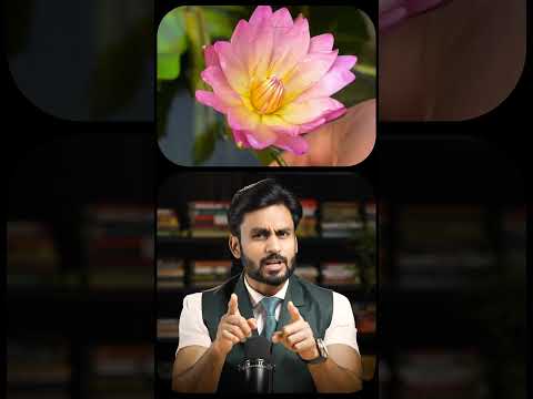 सफलता का सबसे बड़ा दुश्मन ! By Mahendra Dogney #tatvam #tatvamlife #mahendradogney