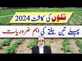 First three weeks requirements of sesame crop 2024  crop reformer