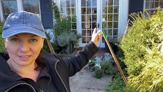 🌲Front Door Pots - Willow Trellises 🌲 by Y Garden 10,444 views 5 months ago 9 minutes, 30 seconds