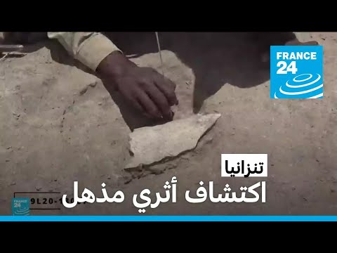 اكتشاف أثري مذهل أسلاف البشر كانوا يصن عون أدوات عظمية قبل 1 5 مليون سنة