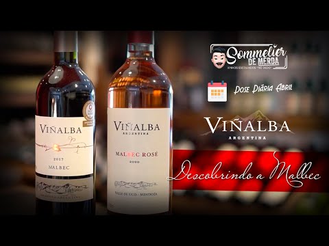 Vídeo: 8 Melhores Vinhos Produzidos Por Sommeliers Em 2021