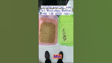 AI Color Sorter Parts and PCB Board Supplier for OEM Brazil Egypt India Algeria Russia Ukraine China