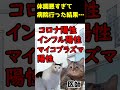 体調悪すぎて病院に行った結果#猫ミーム#猫マニ