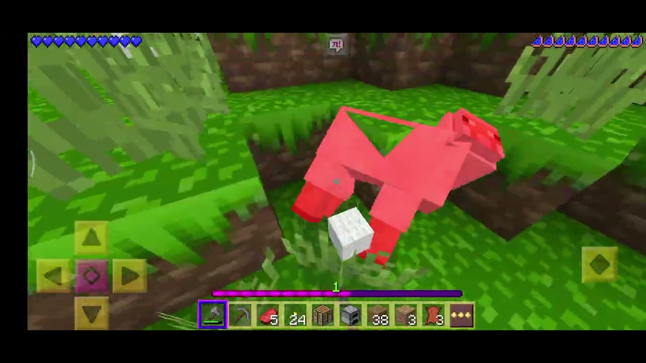 PVP va SUPPER UY 1- qism