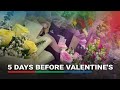 Presyo ng bulaklak sa Marikina 5 araw bago ang Valentine’s Day | ABS-CBN News