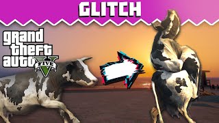 Corrupting Playable Animals - Grand Theft Auto V Glitch - Game Breakers
Thanks for Watching!
In todays episode, we take a look at a glitch in Grand Theft Auto V. It allows you to glitch out the playable animals using the peyote plant. Its seriously a lot of fun to mess around with and is very easy to pull off. Enjoy!
Credit - ?
If you know the person responsible for discovering this glitch, please let me know! Ill credit them as soon as possible.
Outro Song - https://soundcloud.com/brian-smith-387
Twitter - @CWillyHD Corrupting Playable Animals - Grand Theft Auto V Glitch - Game Breakers