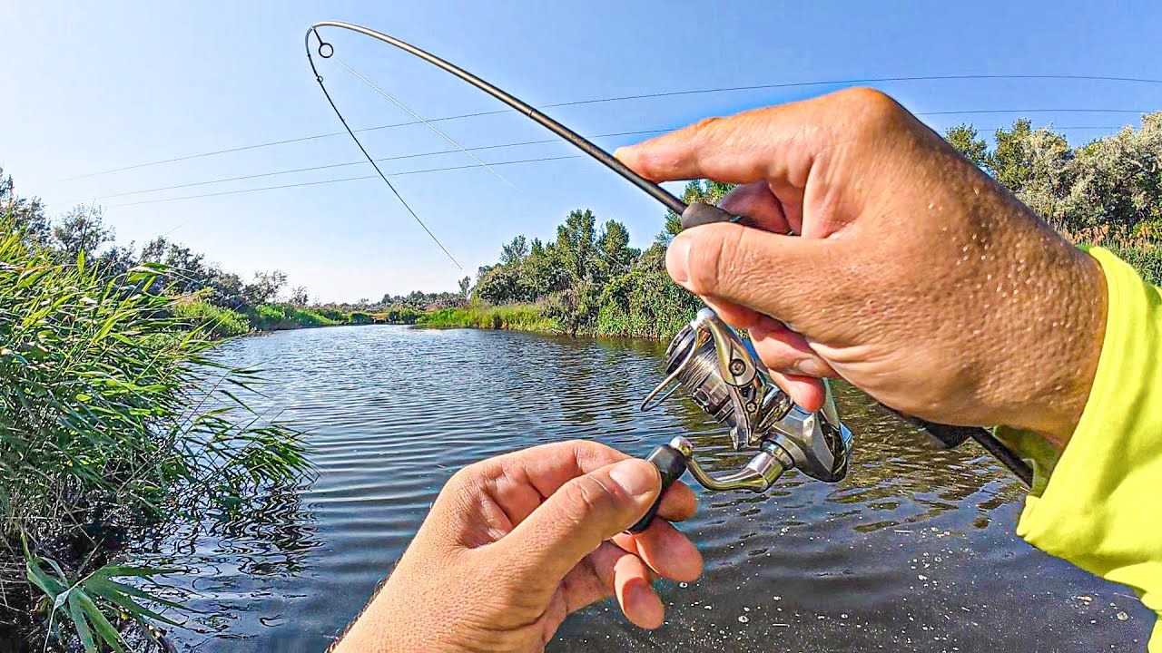 ✅Ловив КАРАСЯ на спінінг і тут ЗАЧЕП ОЖИВ 🦈