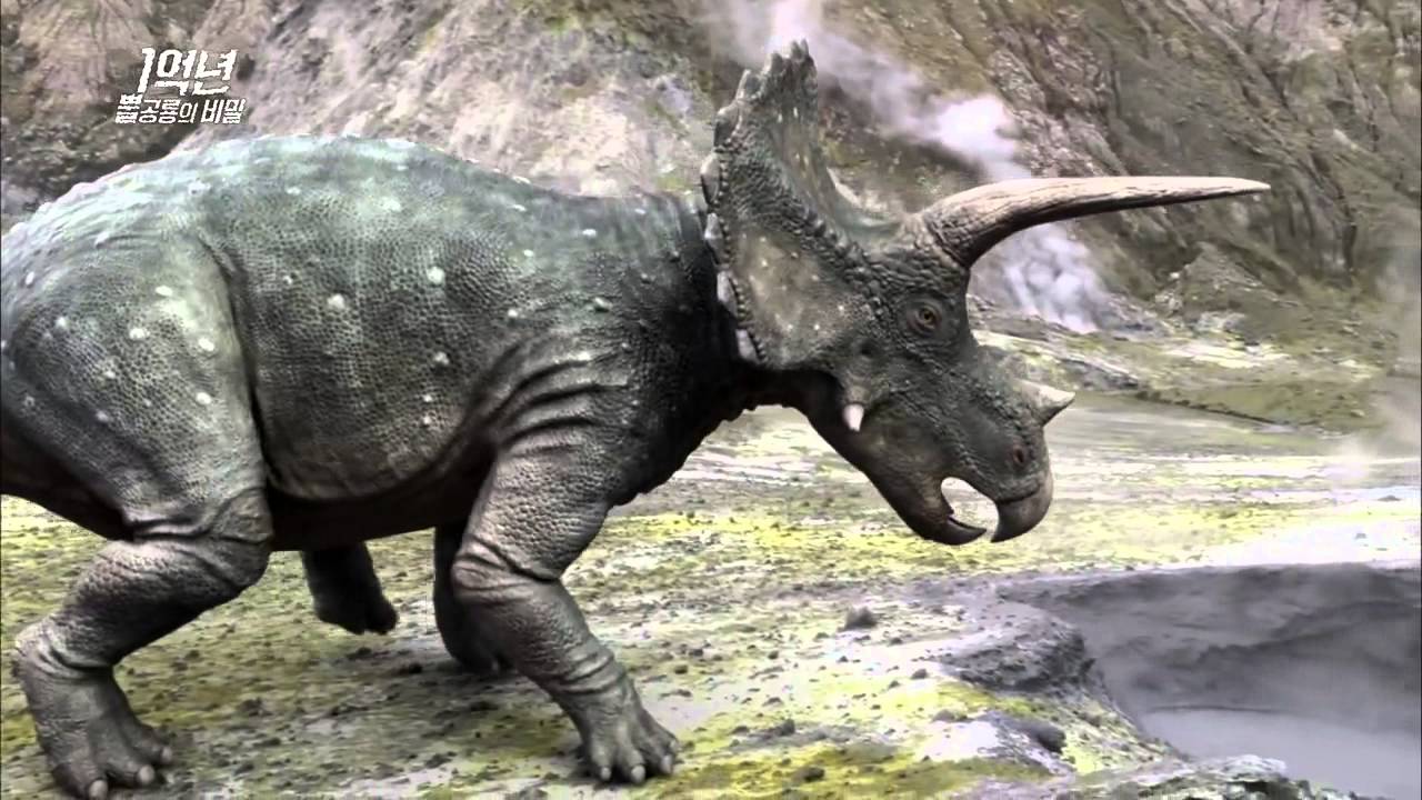 Tyrannosauridae And Ceratopsian Have A Deadly Combat MBC Documentary Special 20140127 YouTube