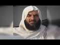 الشيخ هاني أبوشيتة ما تيسر من سورة ص الزمر 