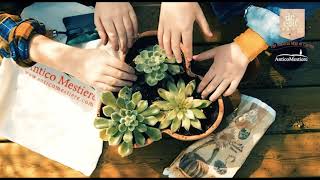 Anticomestiere Drsoil