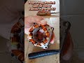 Paano Mag Rewind | Special Stator Electric Fan Part 57 #rewinding #tutorial #domsrestoration