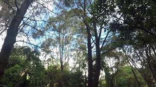 GOPR0709