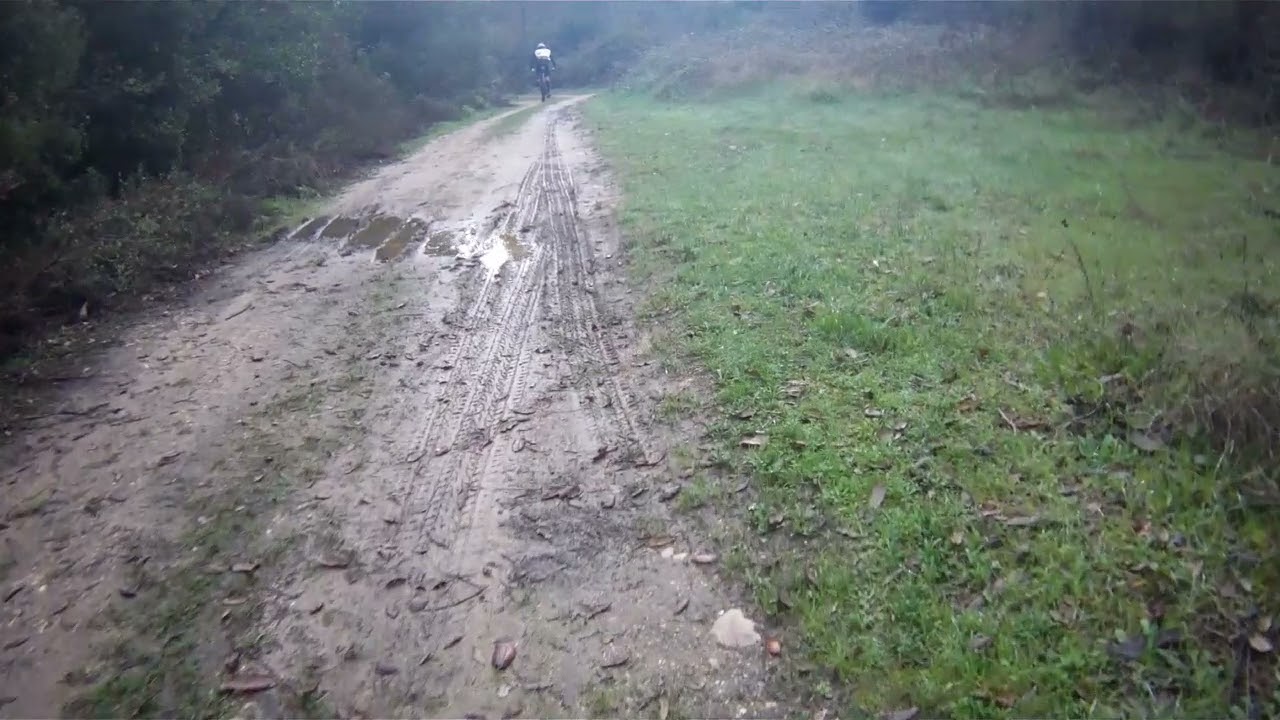 Trilhos Mata do Arrabal - Ultimo Btt 2021