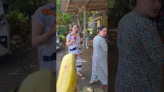 Gadis desa mau metik buah jambu #Gadisdesa #Jandadesa #pedesaansunda #fypviral #mojangdesa