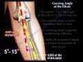 Knee Valgus Stress Test - YouTube